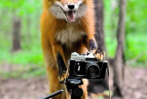 На общую тему&nbsp;