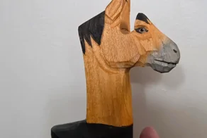 10 вещей, которые смогли опознать только всем миром