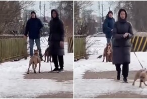 Конфликт женщины с собачниками