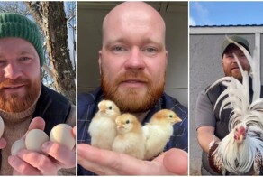 Фермер рассказал о&nbsp;своих курочках. Часть 2