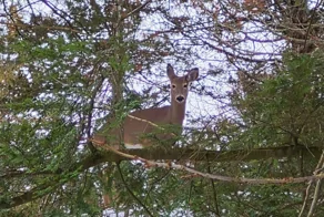 20 примеров обычной реальности, трансформирующейся в иллюзию
