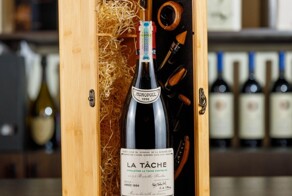 Оушен на минималках: в Майами задержали русского грабителя-эстета