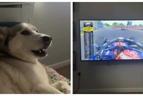 Звуки гоночного автомобиля