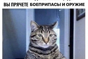 Смешные картинки