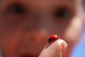 Намешалось