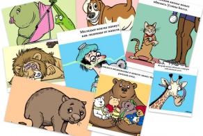 Занимательная зоология в гифках (17 гифок)