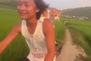 Навстречу приключениям