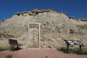 Чёртовы штопоры: тайна, которую миллионы лет скрывали недра Небраски