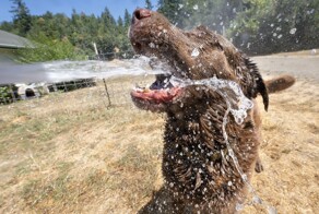 На общую тему&nbsp;