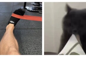 Неравная битва