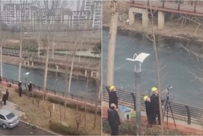 В Китае деревья теперь «стригут» лазерным лучом с дистанции