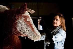 История самой знаменитой коровы Британии