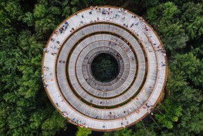 Датская лесная башня в форме песочных часов, парящих над деревьями