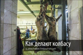 Как делают колбасу из оленины? (54 фото)