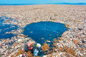 45 000 тонн пластика: инженеры пытаются разгрести мусор из океана