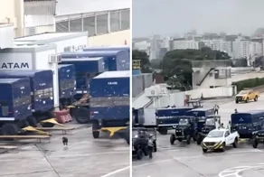 Собака, сбежавшая из клетки, устроила хаос на взлётно-посадочной полосе аэропорта