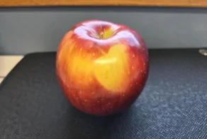 30 кадров, которые заставят вас протереть глаза