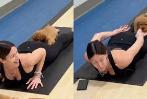 Йога с пушистым помощником