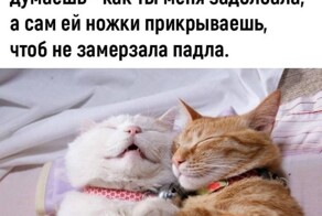 Смешные картинки