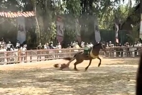 Лошадь протащила артистку по земле во время туристического шоу