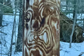 30 фото, запечатлевших маленькие чудеса обыденности и повседневности