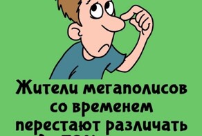 А вдруг ты не знал…