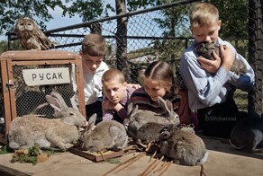 Удивительные и забавные фотографии с животными