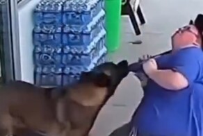 На женщину, идентифицирующую себя как собаку, напал  настоящий пёс