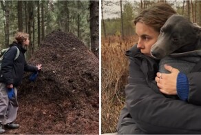 Небольшая прогулка на болото