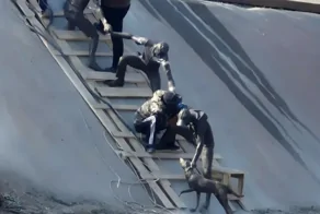 Историю спасения собаки в Алматы увековечили в арт-объекте