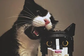 30 фотографий, на которых коты выглядят как герои артхаусного кино