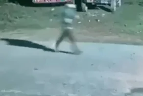 Пробежка обернулась паникой: мужчине пришлось спасаться бегством