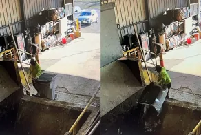 Вывоз мусора пошёл не по плану