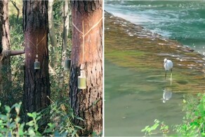 Как в древнем Китае изготавливали кисти