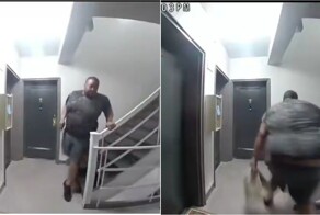 Кража крылышек: сосед не смог устоять перед чужой едой