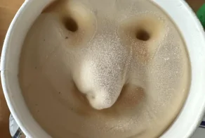 22 бытовых открытия, которые делают жизнь интереснее