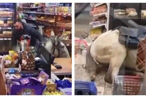 В Сочи мужчина заехал в магазин на коне