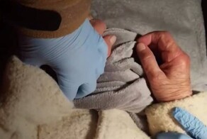 В Подмосковье спасли бабушку, пролежавшую восемь часов в снегу