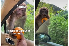 Не ищите здесь смысл. Здесь в основном маразм