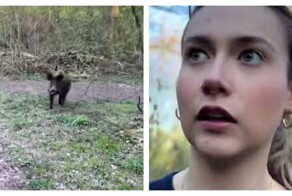 Реакция польской девушки на кабана