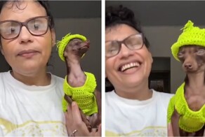 Яркий костюм превращает собачку в мини-Снуп Дога