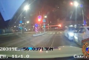 "Тупость, тупость, тупость"