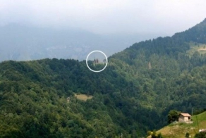 Храм построенный из растущих деревьев (13 фото)