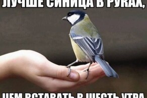 Скрины из соцсетей