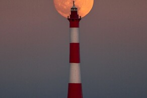 Всё вразнобой&nbsp;