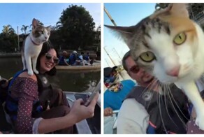 В Бангкоке мужчина катает туристов на лодках с котами