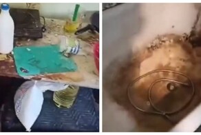 Угадайте, кто здесь живет?!