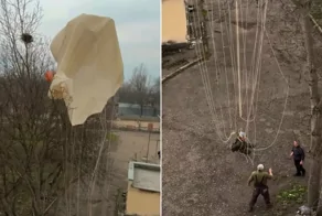 «Жив! Цел! Орёл!»: завтрак пары из Ессентуков прервал парашютист, застрявший на дереве