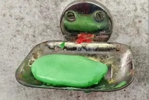 30 случаев, когда мир смотрит на тебя в упор и с интересом