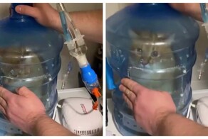 Самодельная ингаляционная камера для кота